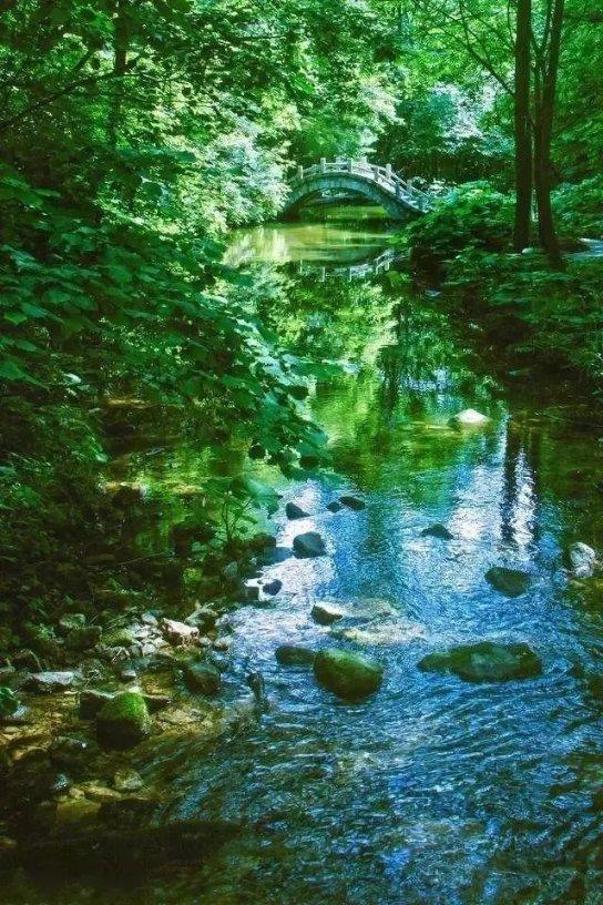 春雨直播app