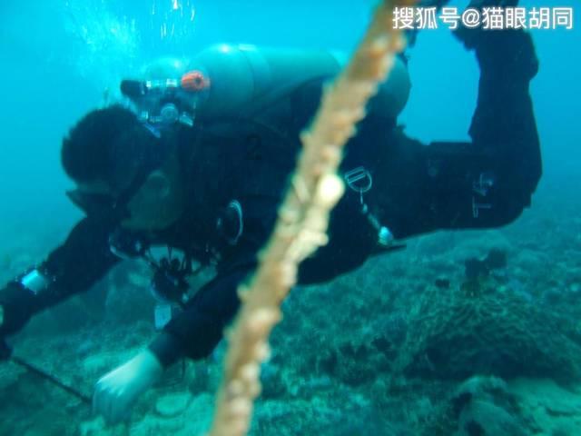 沪江开心词场